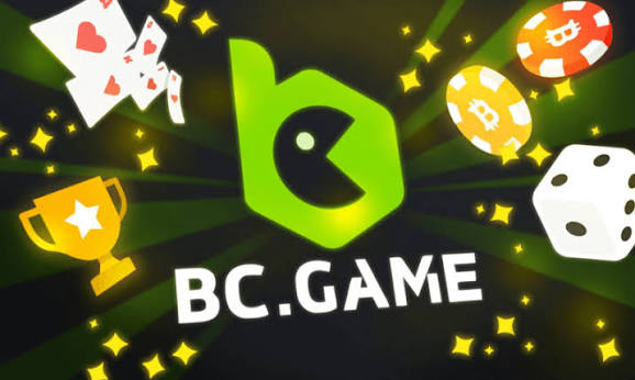Understanding the Functionality and Features of the BC App Understanding the Functionality and Features of the BC App